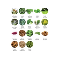 FORTHESKIN Radiance Vita Bio-Cream Crema iluminadora con vitaminas