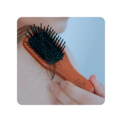 La'dor Mini Wooden Paddle Brush